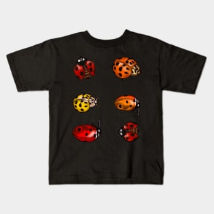 Red, orange and yellow ladybugs -A group of lady bugs is called a loveliness - purple background Kids T-Shirt